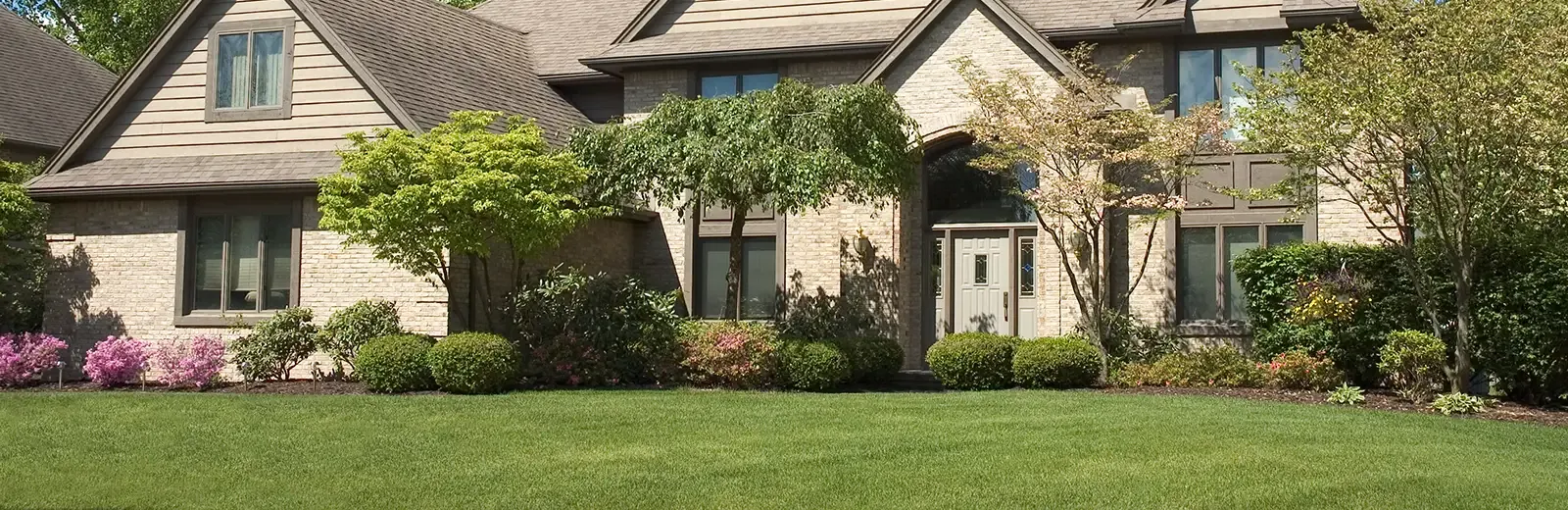 house-lawn-sky-trees